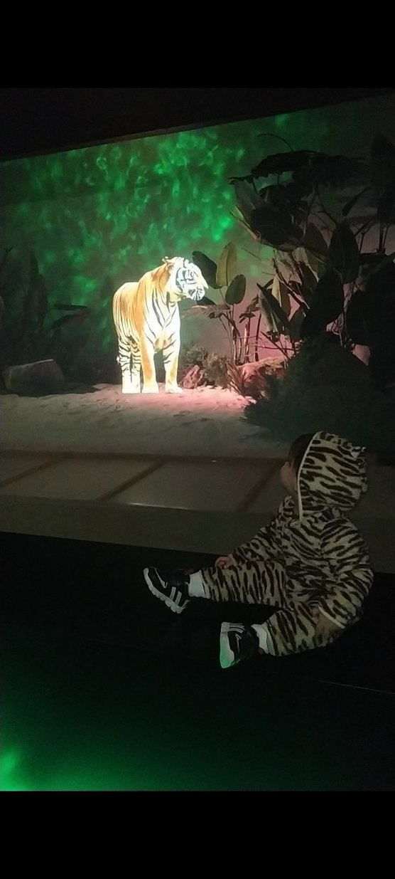 Kahverengi Zebra Desenli Bebek Tulumu - Görsel 5