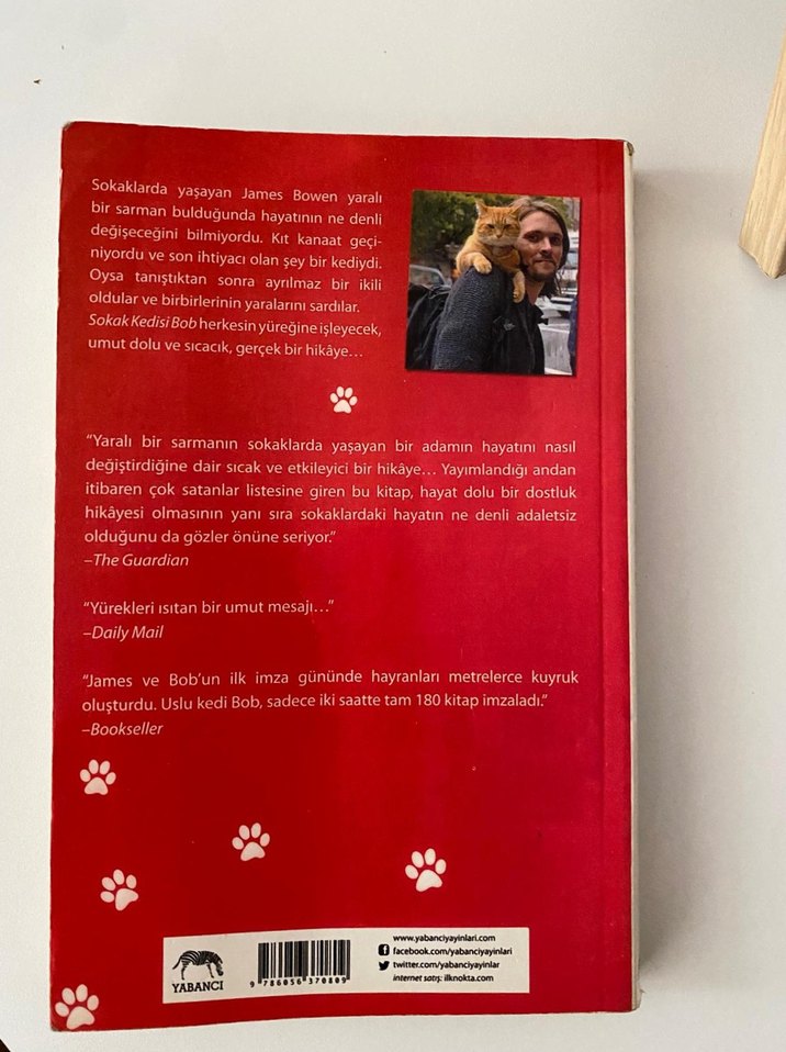 Sokak Kedisi Bob - James Bowen - Görsel 2