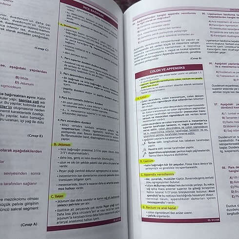 Beden KLİNİSYEN TUS ANATOMİ SORULARI