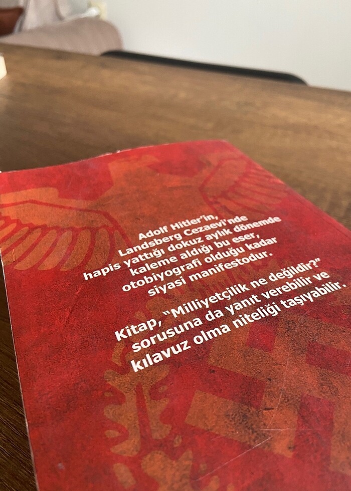 Adolf Hitler - Kavgam - Görsel 2