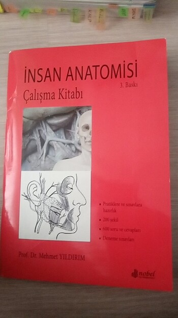 İnsan anatomisi 