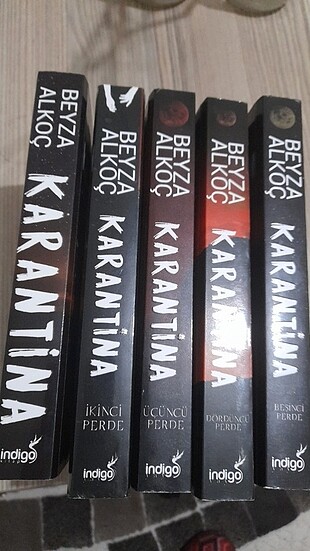 Beyza alkol karantina serisi