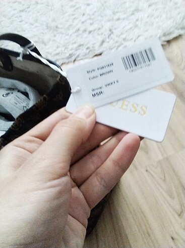 Guess Guess canta