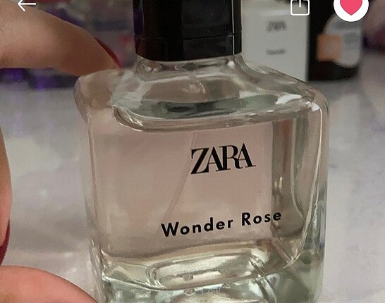 Zara wonder rose
