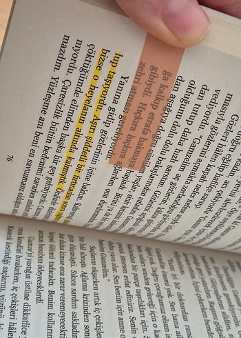 Dağ Başında Aşk - Rabia Gümüş - Görsel 2