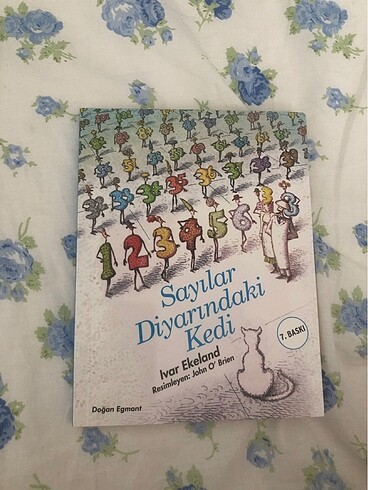 Sayılar Diyarındaki Kedi kitap