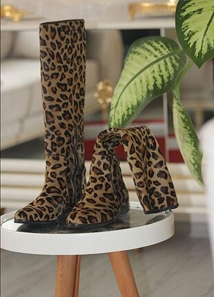 37 Beden Leopar bot