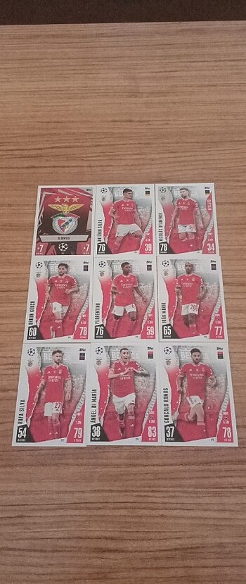  2024 Topps Ucl Benfica Takım 9 Kart 