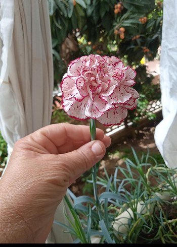Pembe Fırfırlı Vintage Çiçek Broş