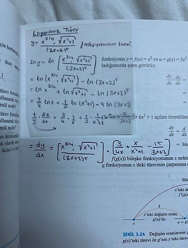  Beden Thomas Kalkülüs 1. Cilt