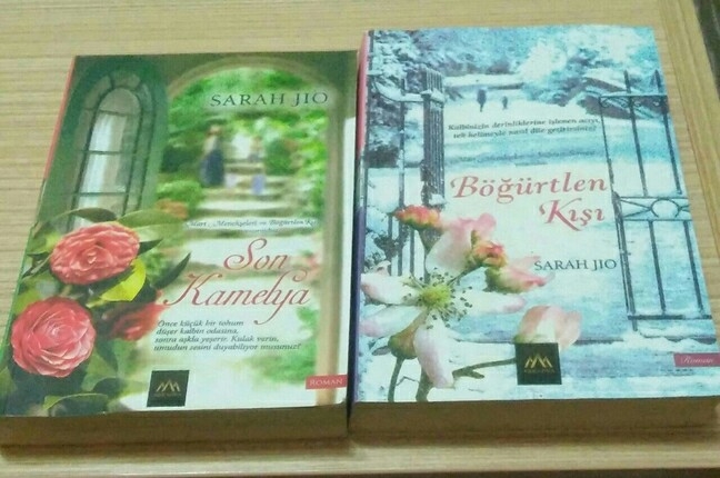 roman kitap