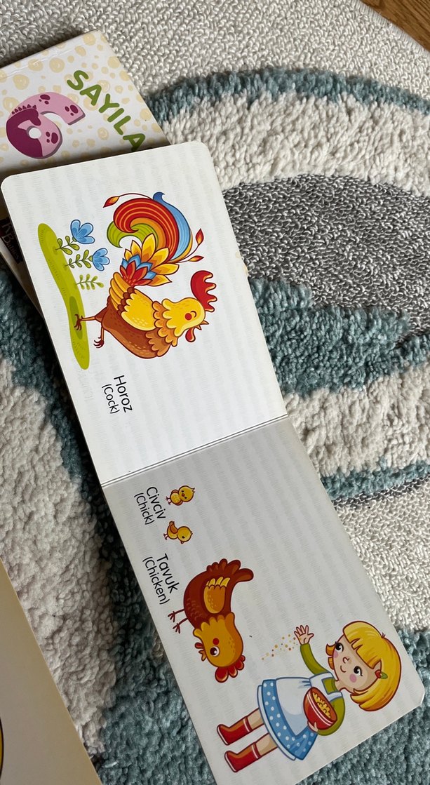 Çocuklar İçin Eğitici Kitap Seti - Görsel 5