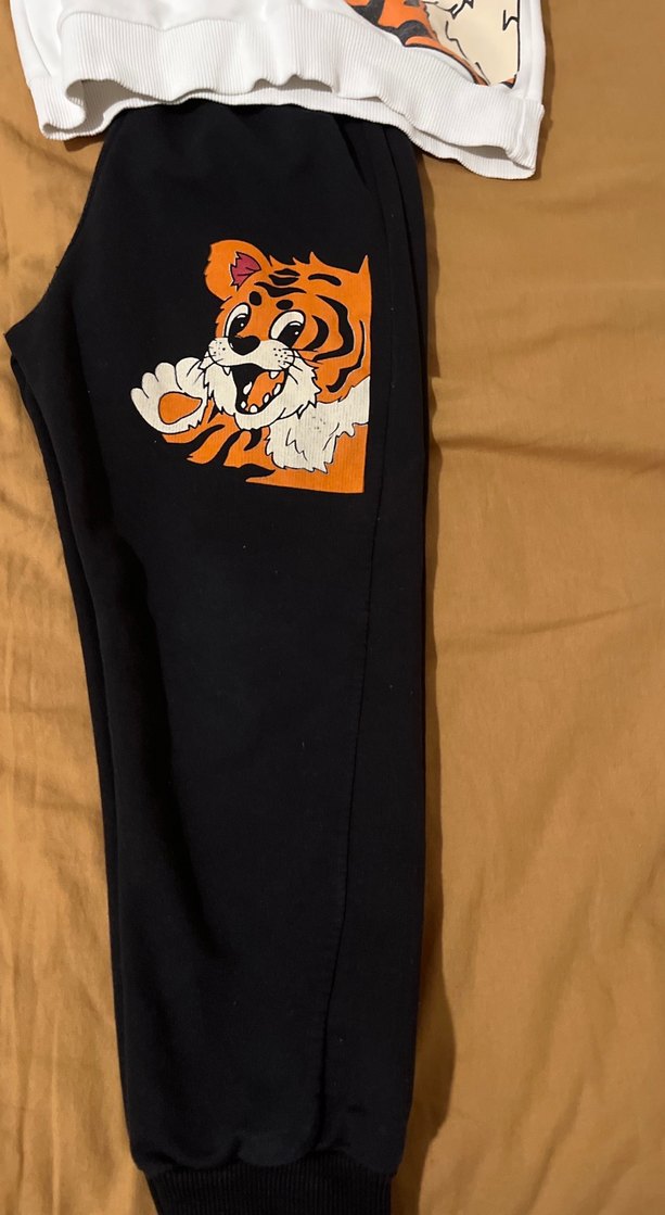 Bebek Erkek Kaplan Baskılı Takım - Görsel 2