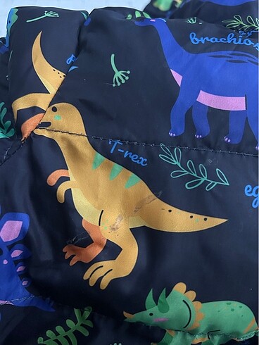 Erkek çocuk mont - Görsel 5