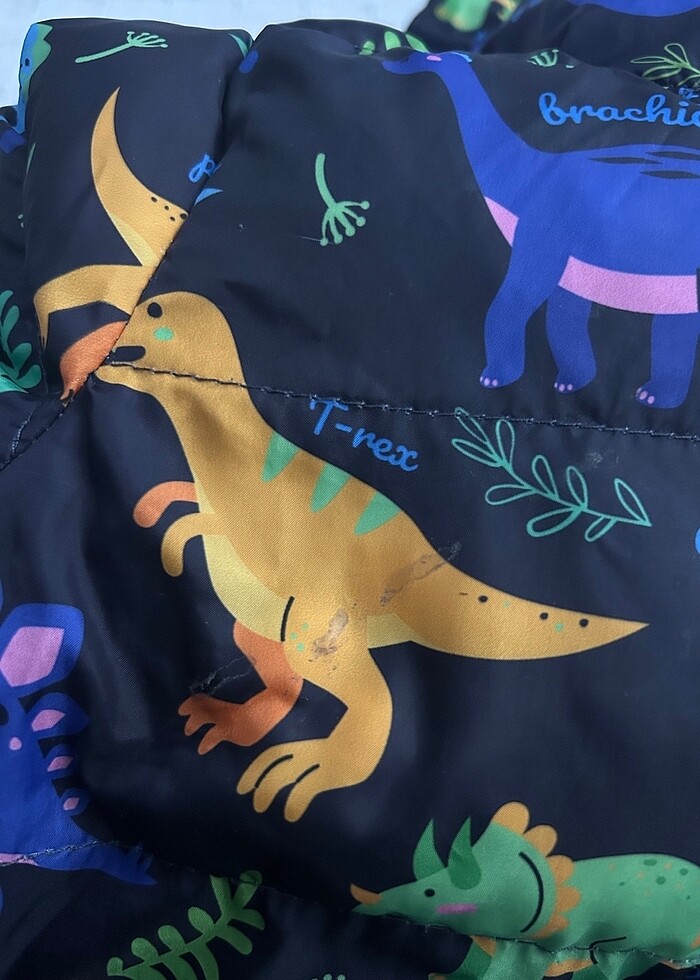 Erkek çocuk mont - Görsel 5