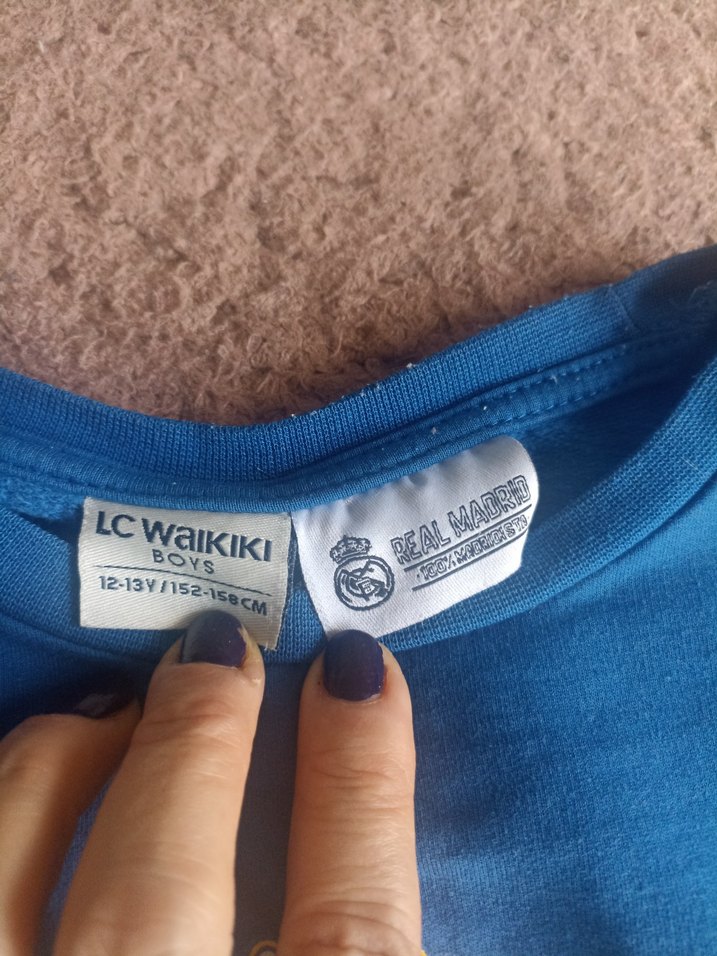 Mavi Erkek Çocuk Baskılı Sweatshirt - Görsel 4