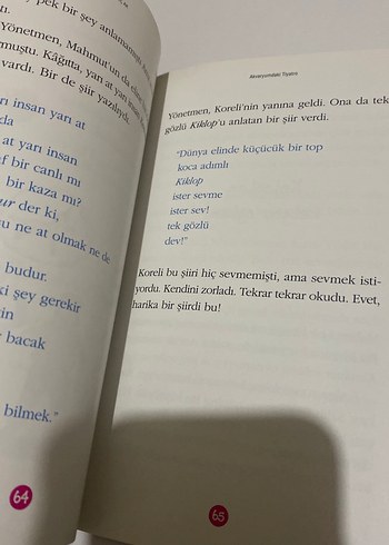 Akvaryumdaki Tiyatro - Behiç Ak - Görsel 2