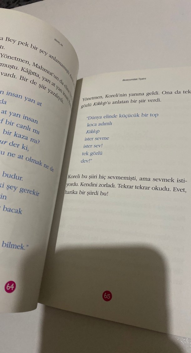 Akvaryumdaki Tiyatro - Behiç Ak - Görsel 2