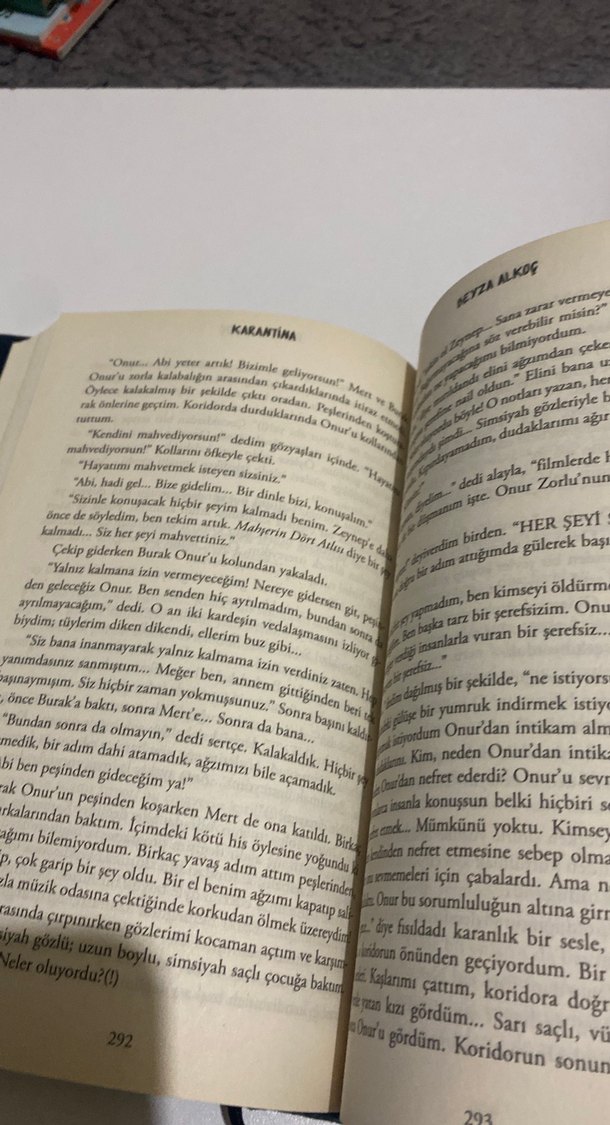 Karantina - Beyza Alkoç - Görsel 4