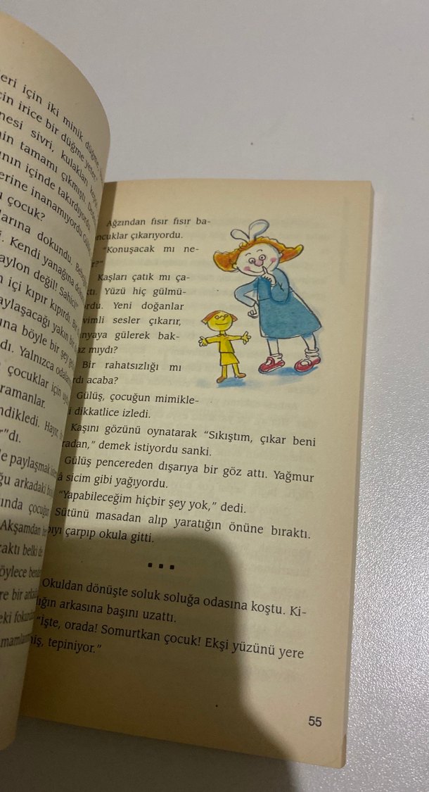 Çilekli Dondurma - Sevim Ak - Görsel 2