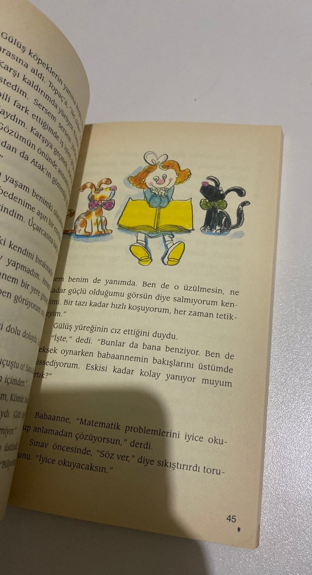 Çilekli Dondurma - Sevim Ak - Görsel 3