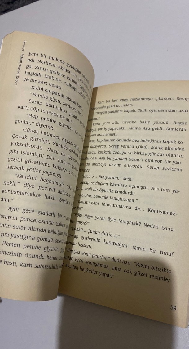 Pembe Kuşa Ne Oldu? - Sevim Ak - Görsel 2