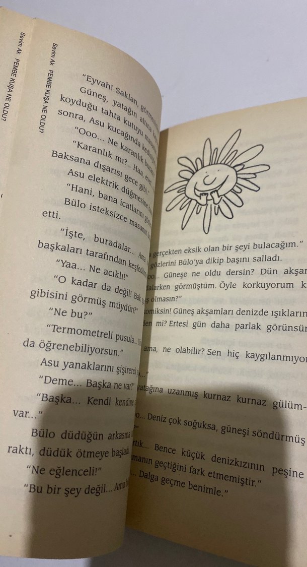 Pembe Kuşa Ne Oldu? - Sevim Ak - Görsel 3