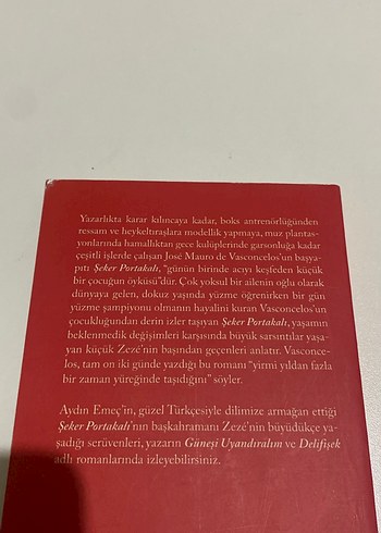 Şeker Portakalı - José Mauro de Vasconcelos - Görsel 2