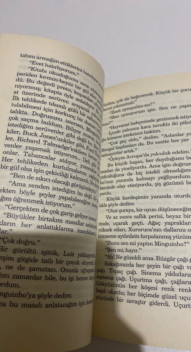 Şeker Portakalı - José Mauro de Vasconcelos - Görsel 3