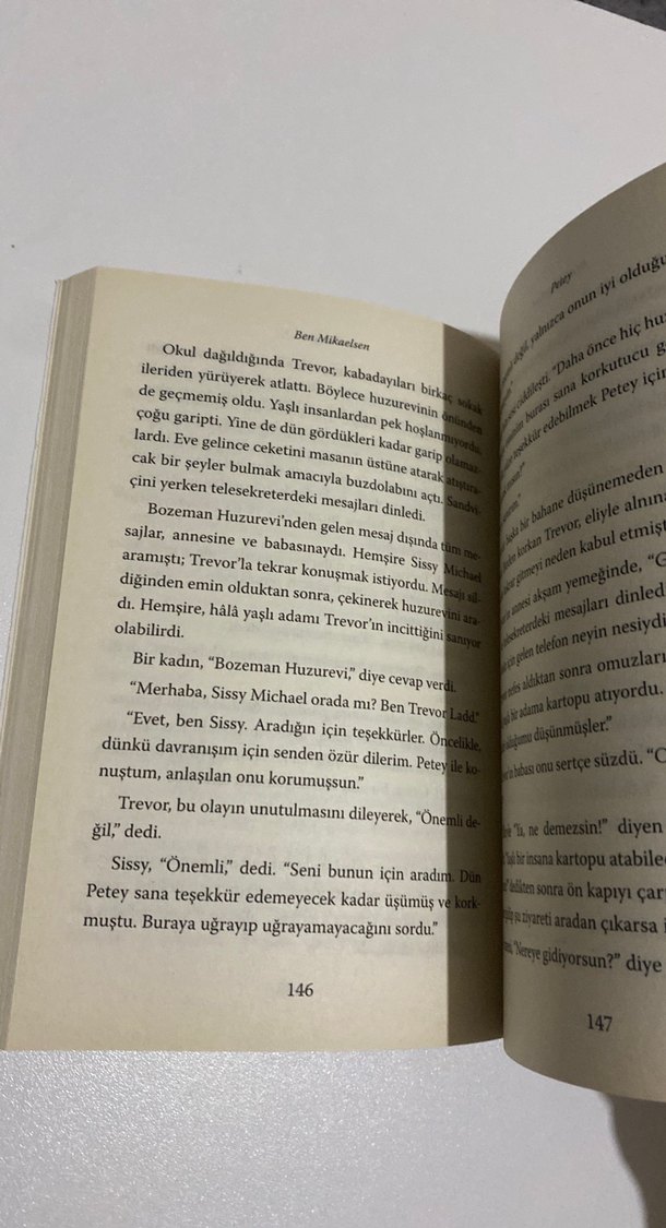 Petey - Ben Mikaelsen - Görsel 3