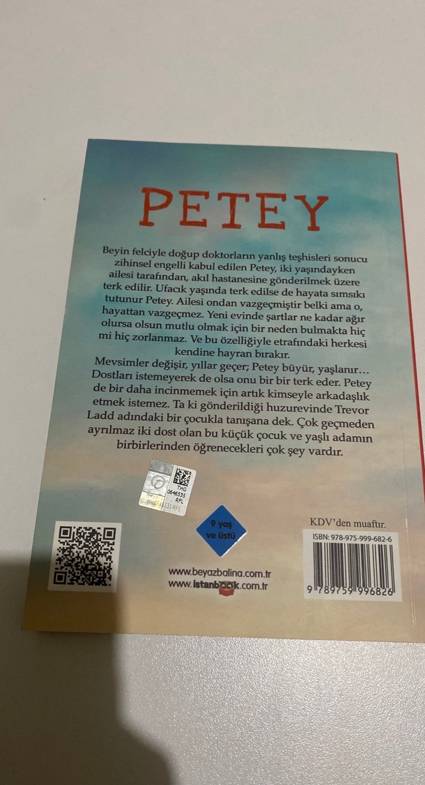 Petey - Ben Mikaelsen - Görsel 2