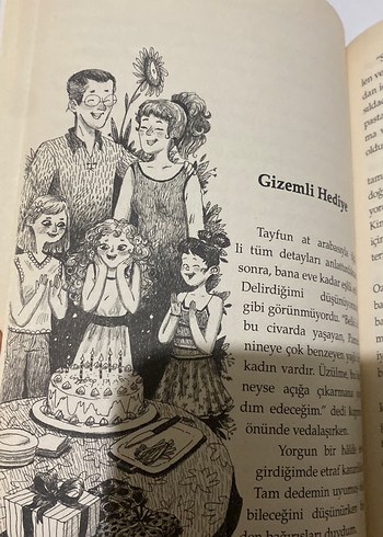 Dedemin ay çiçeği tarlası - Görsel 6