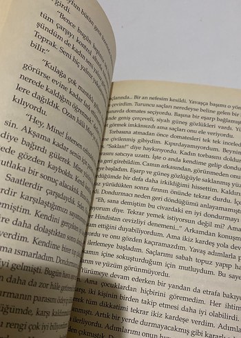 Dedemin ay çiçeği tarlası - Görsel 5