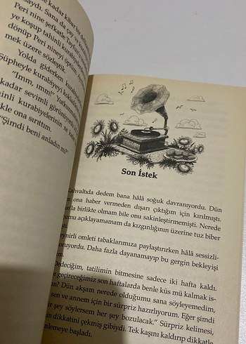 Dedemin ay çiçeği tarlası - Görsel 4