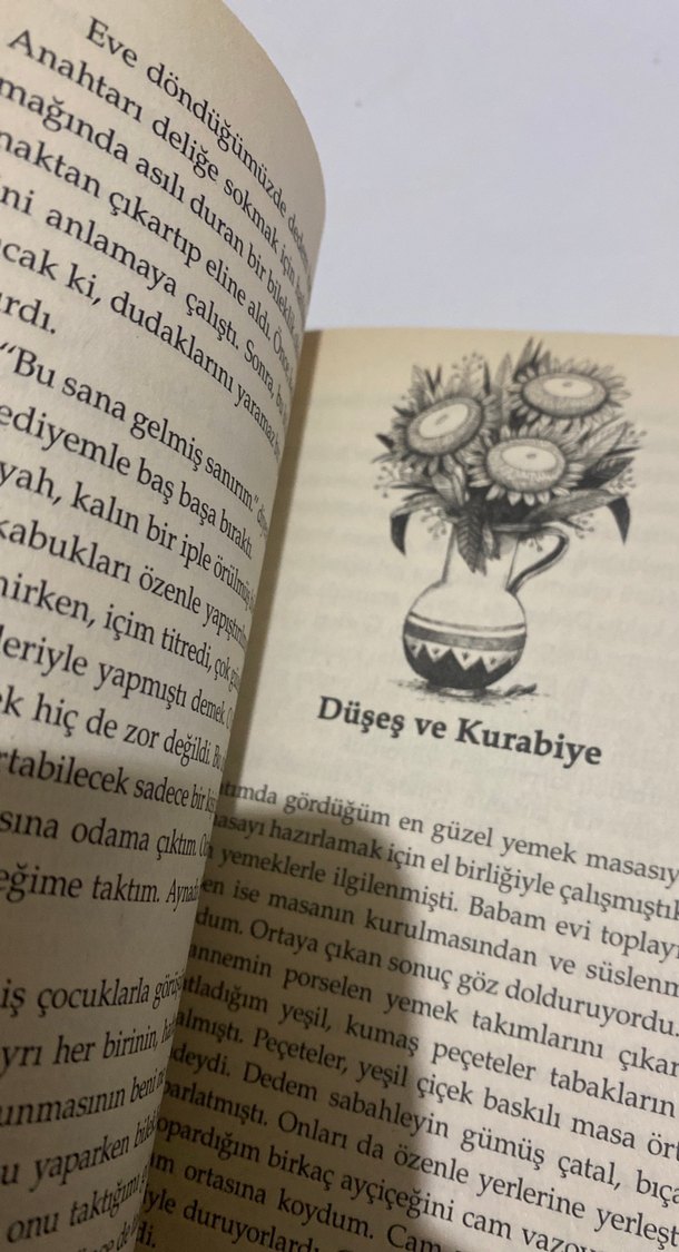 Dedemin ay çiçeği tarlası - Görsel 3