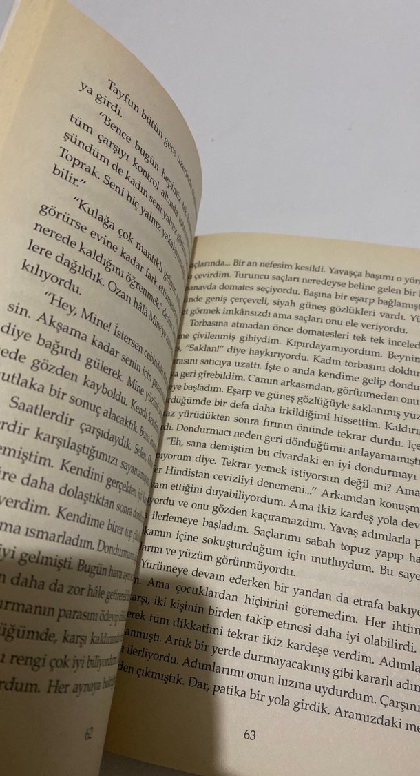 Dedemin ay çiçeği tarlası - Görsel 5