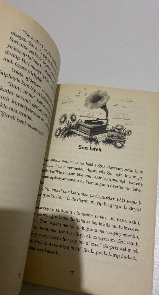 Dedemin ay çiçeği tarlası - Görsel 4