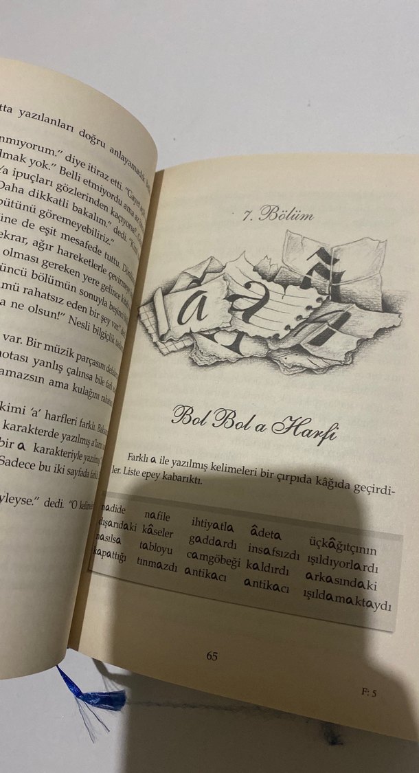 Esrarengiz Kelimeler - Almila Aydın - Görsel 3