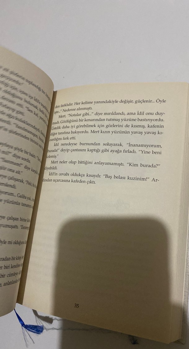 Esrarengiz Kelimeler - Almila Aydın - Görsel 4