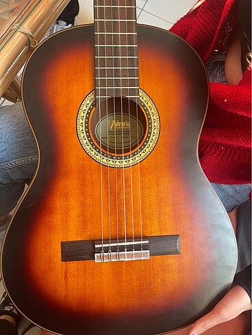 Diğer Gitar Valencia VC404