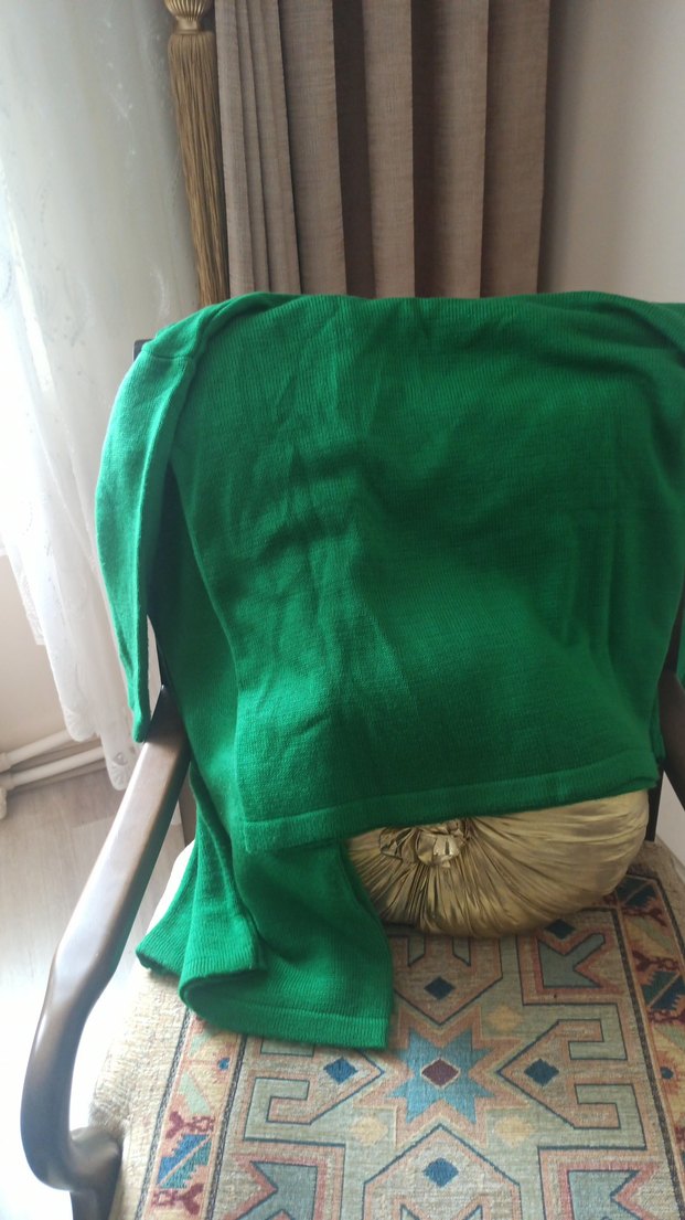 Yeşil Triko pantolon ve bluz - Görsel 4