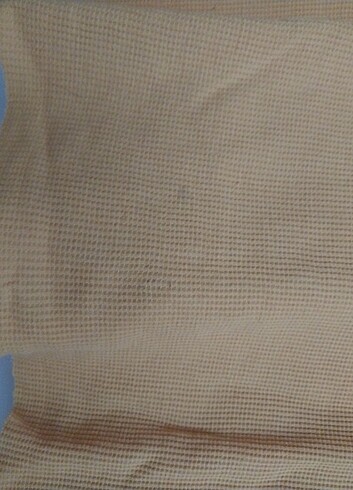Addax Addax sweat