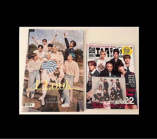 Stray kids photocard