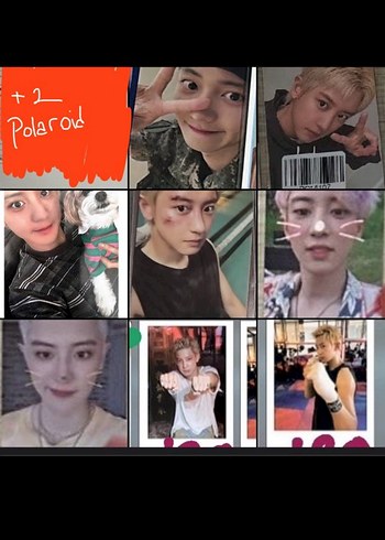 Polaroid Temalı Çizgi Roman