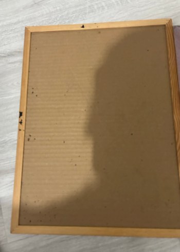 Mantar pano - Görsel 3