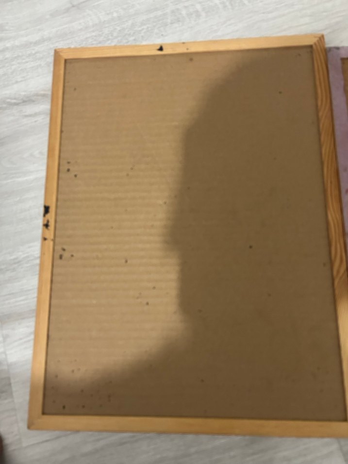 Mantar pano - Görsel 3