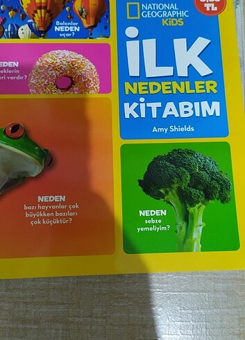 ilk nedenler ilk uzay ilk dinazor ilk hayvanlar 