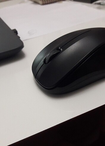 Mouse