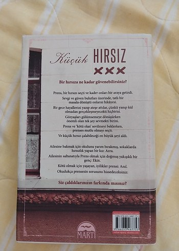 Küçük Hırsız Romanı