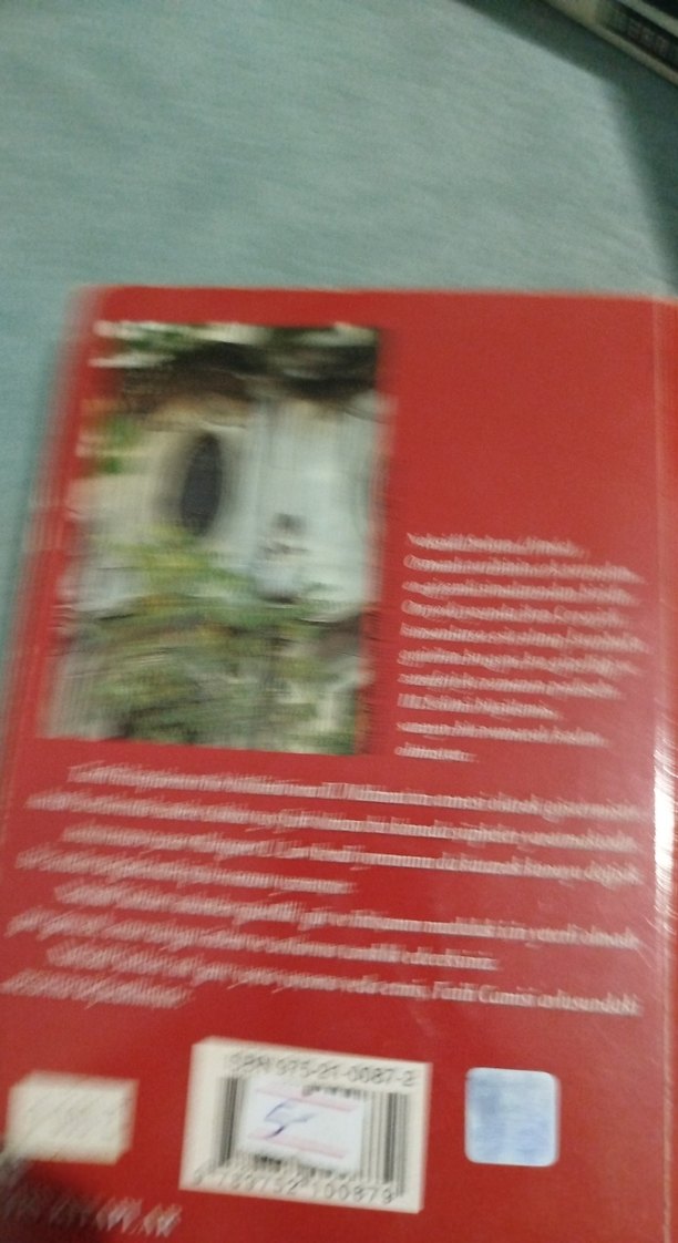 Nakşidil Sultan - Osmanlı Sarayı'nın Gizemli Kadını - Görsel 5